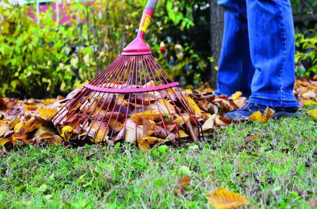 Garten im Herbst: So kompostieren Sie Gartenabfälle