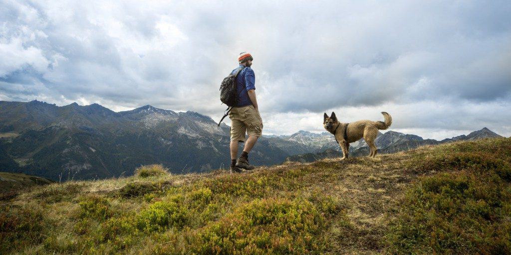 Wanderer mit Hund in den Bergen