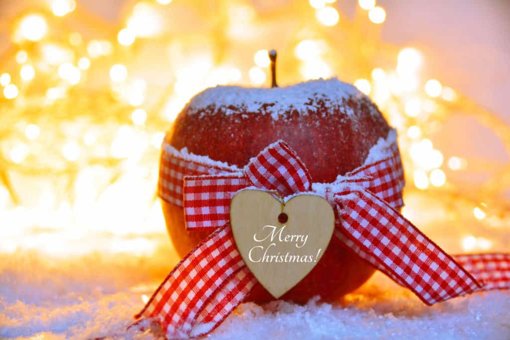 Apfel mit rot karierter Stoffschleife und kleinem Holzherz mit der Aufschrift "Merry Christmas"