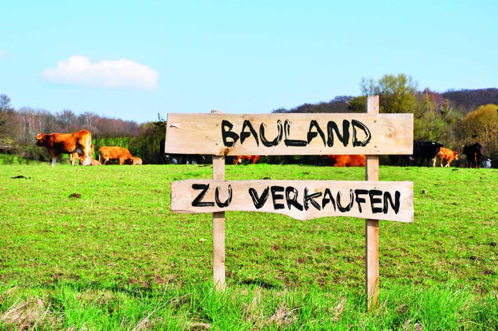 Ein grüne Koppel mit Kühen wird durch ein rustikales Holzschild als Baugrundstück zum Kauf angeboten.