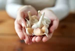 Lebensmittel-Lifehacks, Nummer 2: Zwei Hände halten mehrere ungeschälte Knoblauchzehen