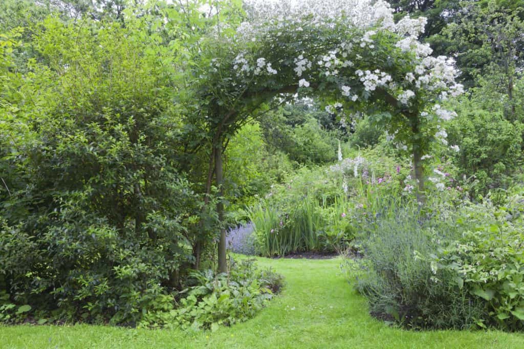 Cottage Garten So Werden Sie Richtig Angelegt Und Traumhaft Schon