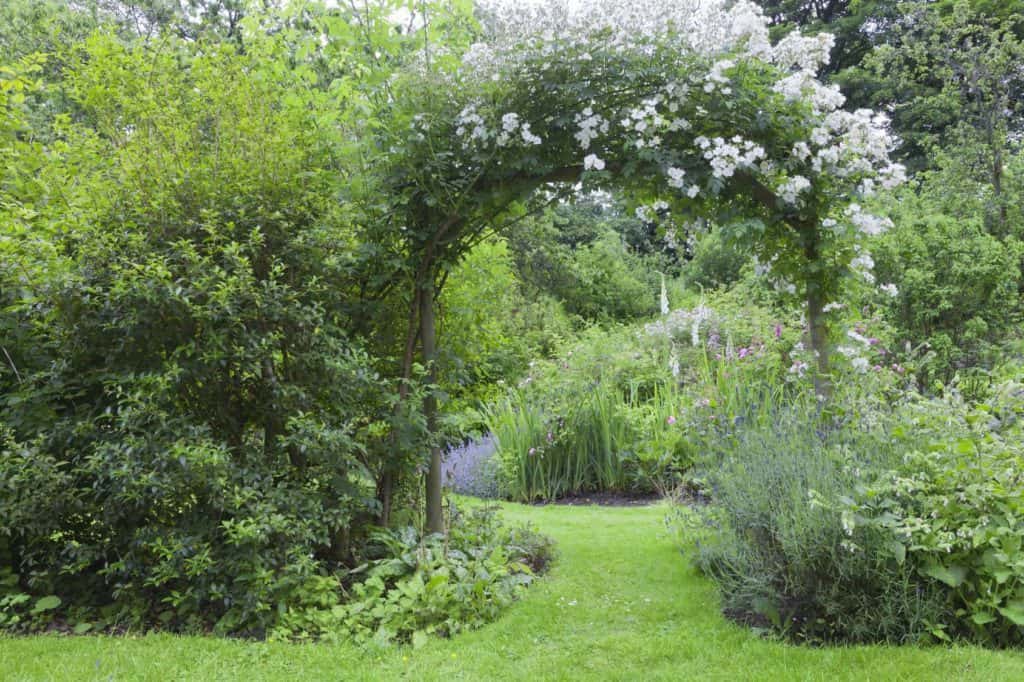 Rosenbogen zwischen Blumenstauden – Cottage Gärten