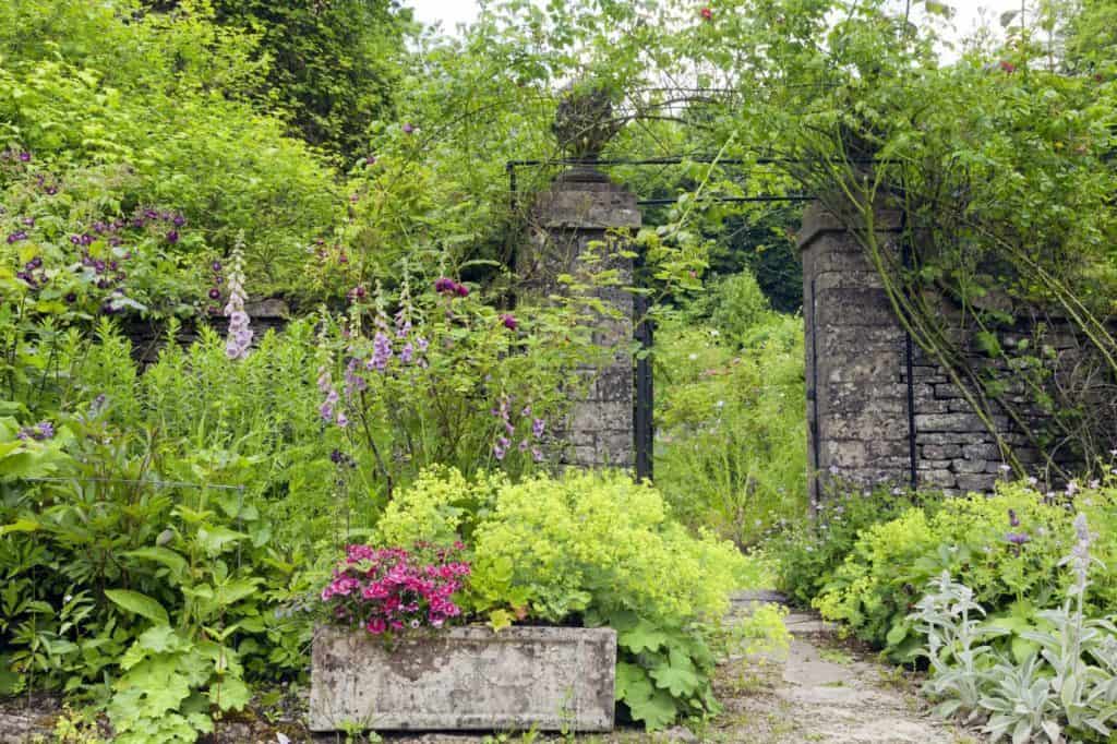 Cottage Gärten: Eingewachsene Steinmauer mit Tor, Pflanzkübel aus Stein und wildwachsende Stauden