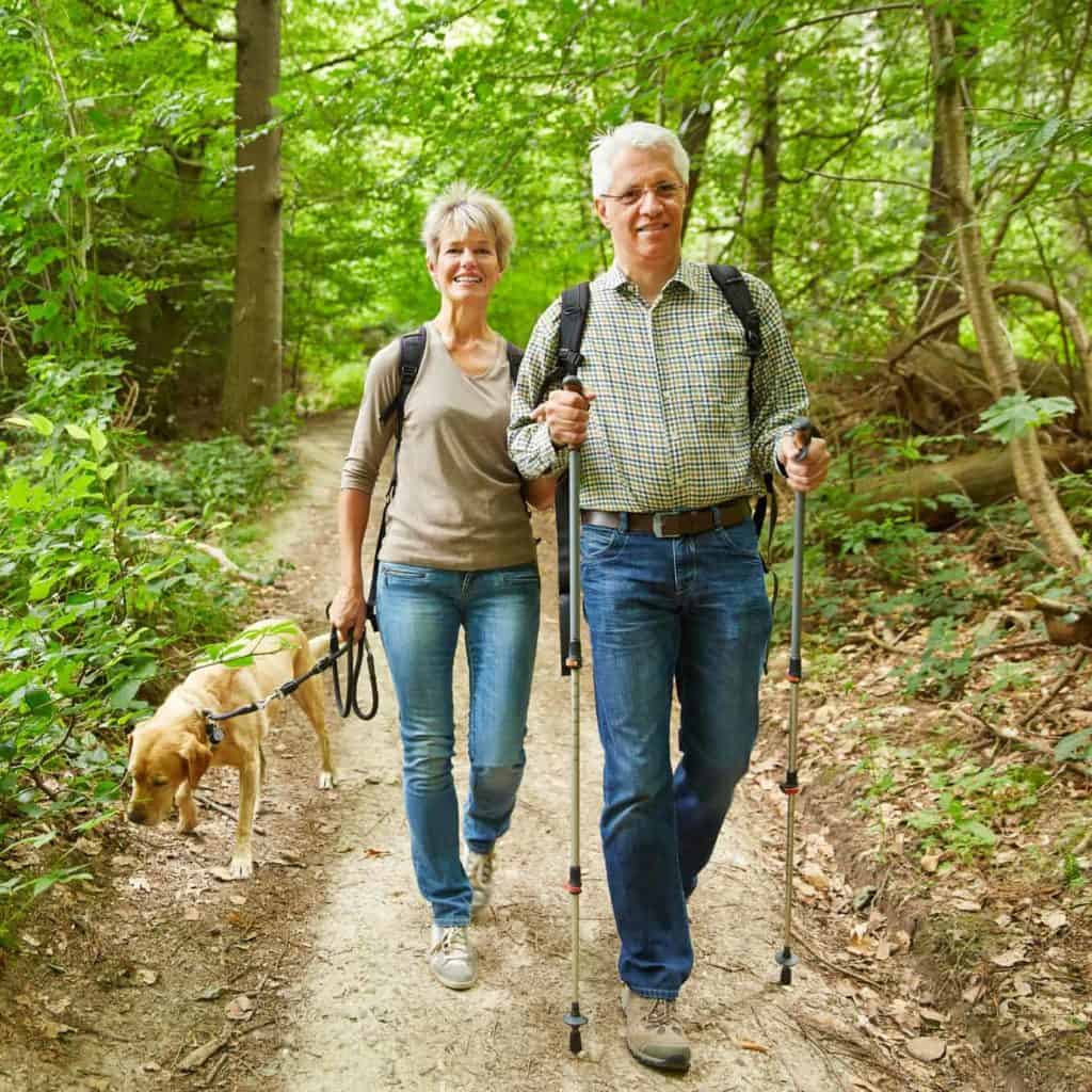 Zwei Senioren wandern mit Hund im Wald (Wandertipps für Anfänger)
