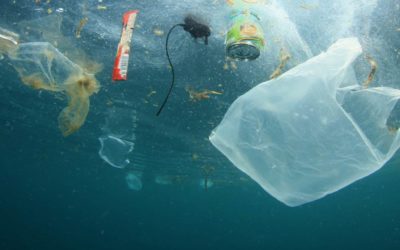 Machen Sie mit: Plastik reduzieren durch umweltschonende Alternativen