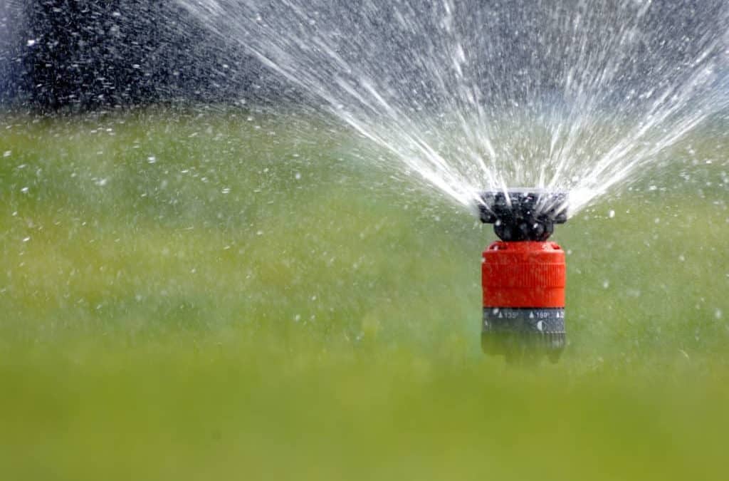 Wie wird der Garten bei Trockenheit richtig bewässert?