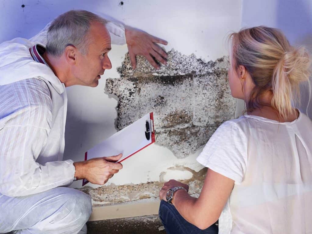 Fachhandwerker und Frau vor einer verschimmelten Wand im Kellerraum.