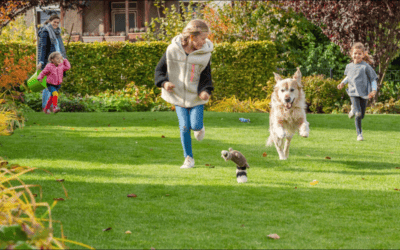 Rasenpflege verständlich erklärt: Experten-Tipps für jeden Garten