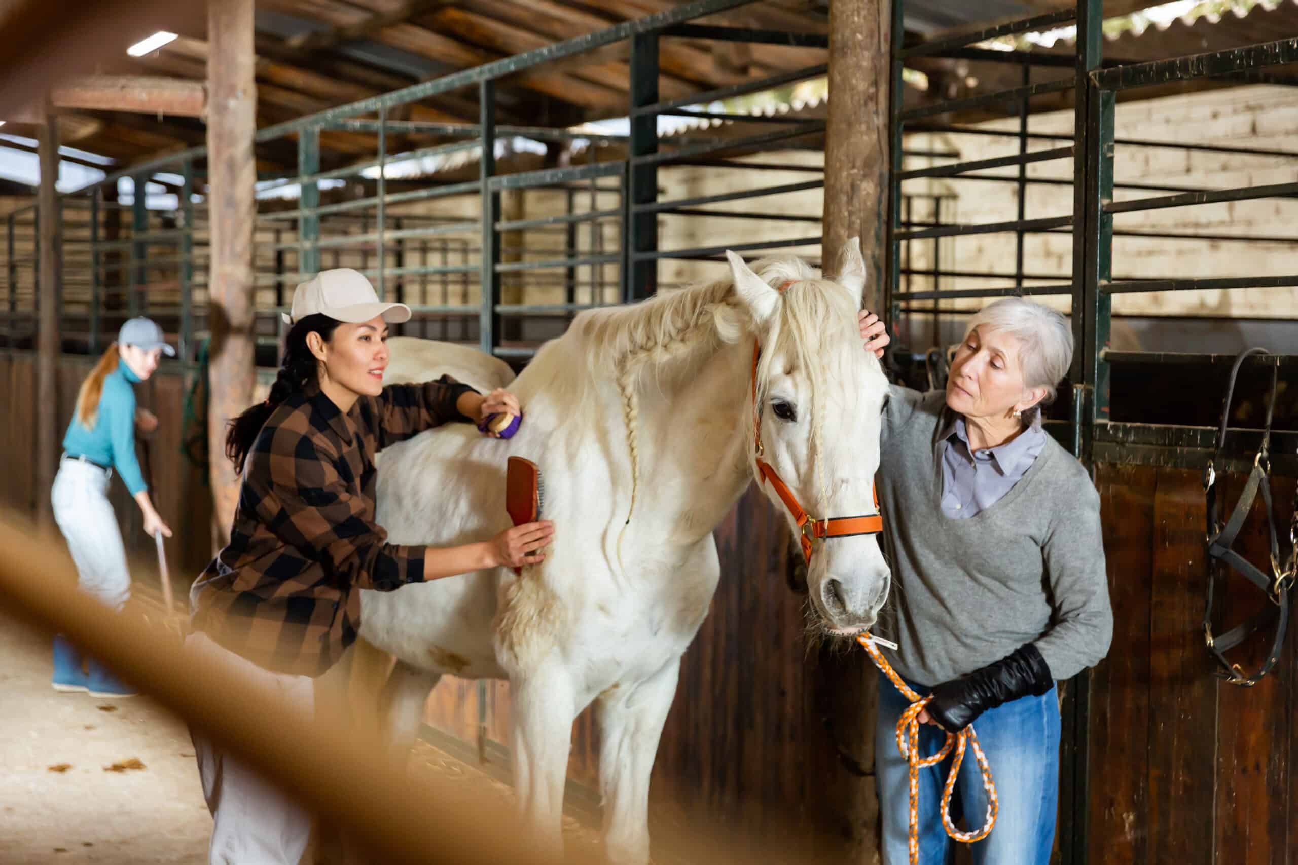 Work and Travel: Pferdepfleger im Ausland arbeitet auf einer Ranch.