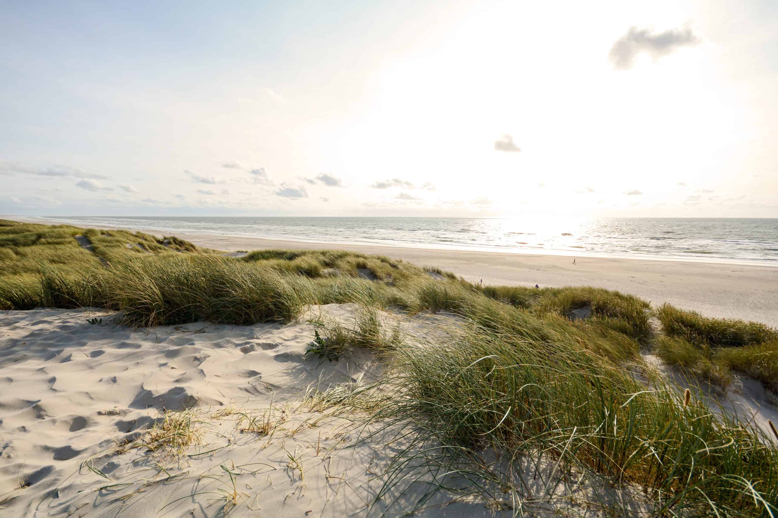 Landschaft am Strand von Dänemark (Dänemark-Urlaub)