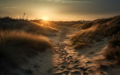 Der Traum im Norden – Dänemark-Urlaub zum Erholen