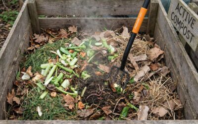 Kompost anlegen: So wird aus Küchenresten schwarzes Gold für den Garten