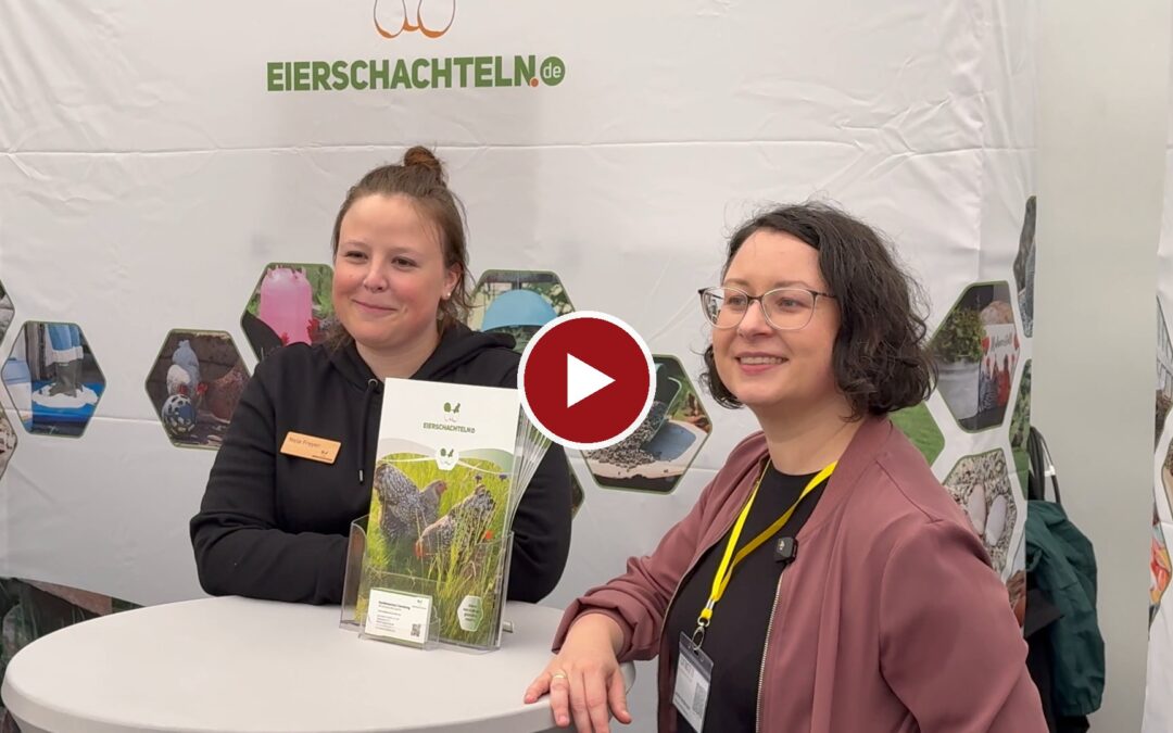 Eigene Hühner halten klappt auch im Familiengarten