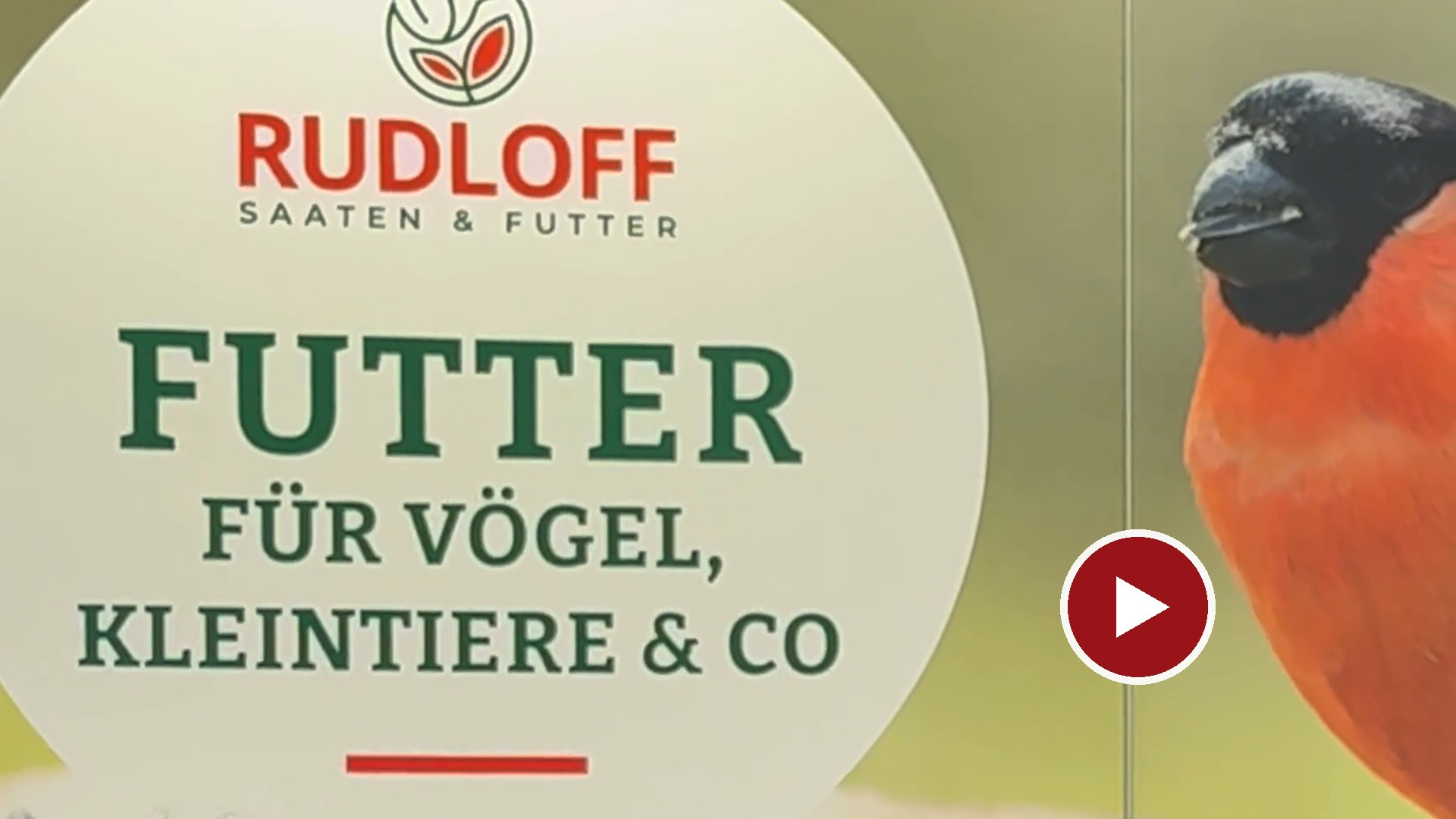 Das richtige Vogelfutter hängt von den Gartenvögeln ab