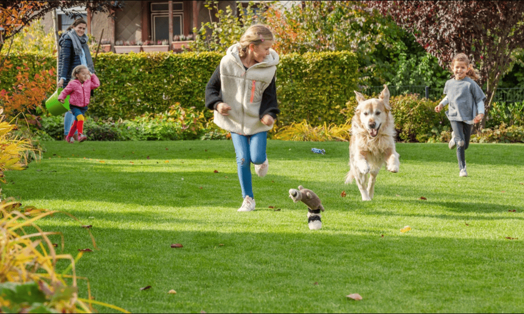 Gartenpflege & Pflanzenschutz